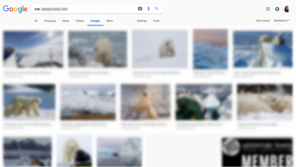 Google images results returned