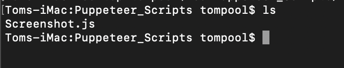 Puppeteer scripts ls