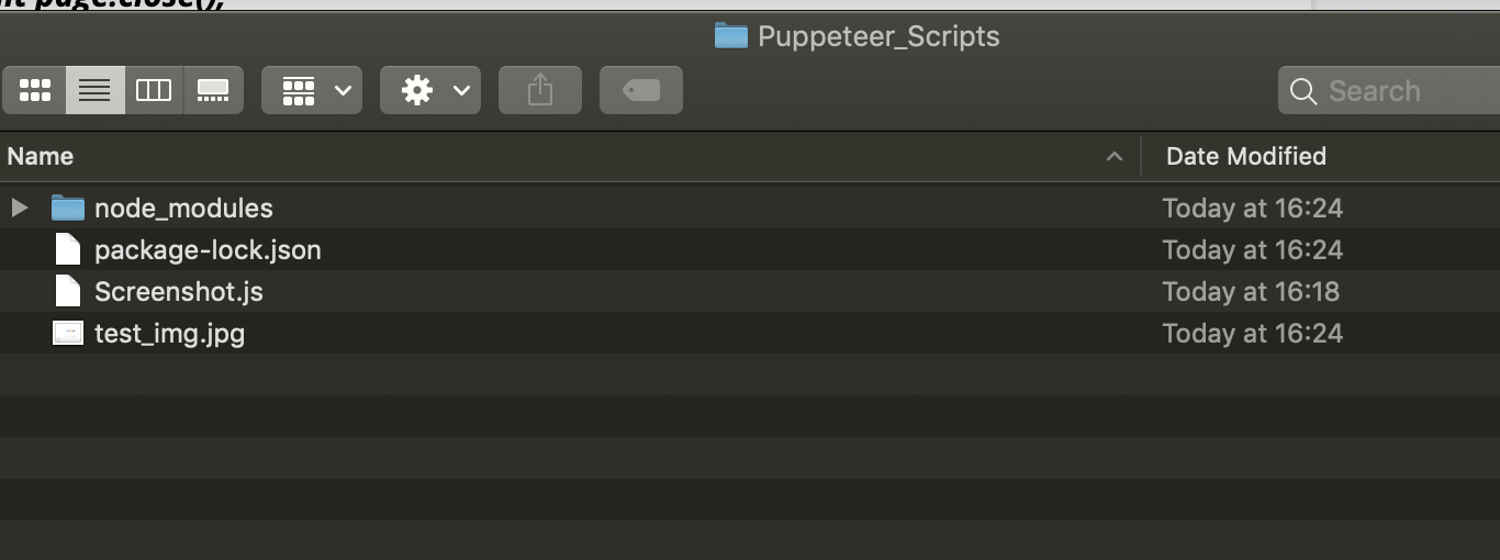 Puppeteer scripts folder