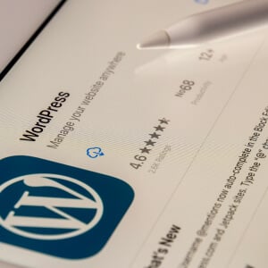 Best WordPress Agencies in the UK